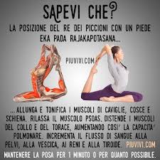 Eka Pada Rajakapotasana Posizione Del Re Dei Piccioni Con Un Piede Esercizi Di Yoga Anatomia Yoga Esercizi