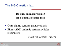 Check spelling or type a new query. Energy Transformations In Living Organisms Cellular Respiration Ppt Download