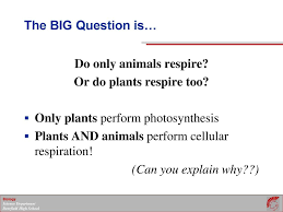Cellular respiration refers to a series of metabolic reactions and processes within a cell that convert nutrients into biochemical energy and then into respiration is key to fuelling cellular activity and is considered an exothermic redox reaction as it releases heat. Energy Transformations In Living Organisms Cellular Respiration Ppt Download