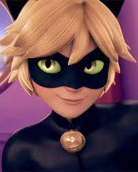 Cat Noir Adrien Agreste Miraculous Ladybug Comic Miraculous Ladybug Anime Miraculous Ladybug Memes