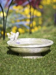 Bird In Bird Bath Small Bird Bath With Finches Low To Ground Gardeners Com Bird Bath Bird Bath Garden Concrete Bird Bath