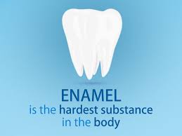 Enamel Is The Hardest Substance In The Body And Protects The More Sensitive Inner Parts Of The Tooth Dental Facts Dentistry Dental