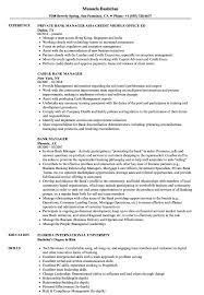 A bank manager is the head of the organization and supervises the activities of all the branch banks. Bank Manager Resume Samples Velvet Jobs