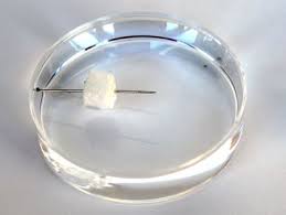 Magnetismus im Sachunterricht