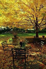 Wandering The Good Beautiful Fall Outdoor Autumn Table