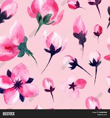 I haven't seen such high quality free patterns all in one place. Pink Sakura Flowers Image Photo Free Trial Bigstock