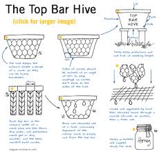 For example, a centrifugal honey extractor can not be used to remove honey from the natural comb, so the comb and honey will both need to be removed from the bar. The Topbar Hive Explained Top Bar Hive Bee Keeping Hives