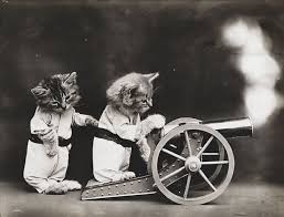 Pogonul reprezinta o suprafata de aproximativ 0.5ha. Fotografii Vechi De Un Secol Cu Animale De Companie Surprinse In Ipostaze Umane