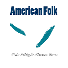 Stream American Folk music