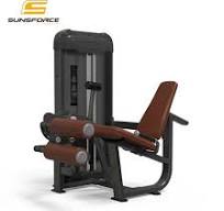 Máquina de Academia Comercial Exercício de Músculo Flexão de Perna/  Extensão de Perna