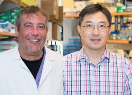 Labs offer team science, exciting research opportunities for students