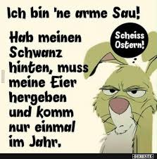 Ich Bin Ne Arme Sau Lustige Bilder Spruche Witze Echt Lustig Lustige Spruche Lustige Bilder Spruche
