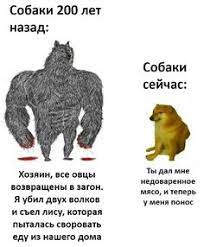 pin ot polzovatelya evgeniya chiminskaya na doske tipo smeshno smeshnye memy veselye memy smeshno