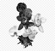 Flower black and white png images. Black And White Flower Monochrome Aesthetic Black Flowers Png Black And White Rose Png Free Transparent Png Images Pngaaa Com