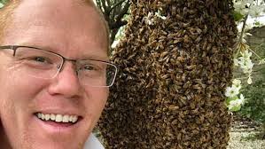 Local beekeeper offering free swarm removal amid honeybee season