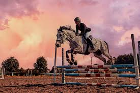 Liza monet sexe tape : lechage de seins