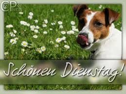 Guten morgen bilder zum dienstag. Coolphotos De Grusskarten Wochentage Dienstag