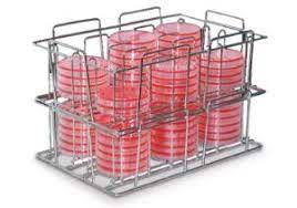 Petri Dish Racks Stainless Steel Petripile Vwr Petri dishes and contact plates. petri dish racks stainless steel