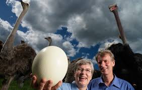 Incercati sa va amintiti cat mai multe din vis. Cel Mai Mare Sarpe Din Lume Cartea Recordurilor