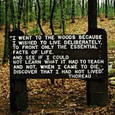 The Woods Henry David Thoreau Thoreau Quotes Life Facts Walden Pond