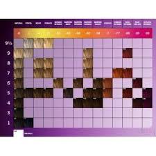 16 Exhaustive Igora Viviance Color Chart