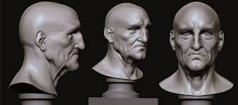 Anatomical Cognition