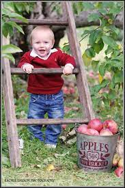 Children S Photography Baby Apple Picking Rachel Larson Photography Apple Orchard Photography Apple Picking Photography Apple Orchard Pictures