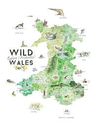 Download wales cliparts and use any clip art,coloring,png graphics in your website, document or presentation. Wild Wales Illustrated Map On Behance Illustrated Map Travel Infographic Wales Map