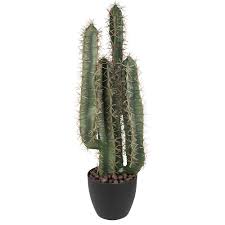 Cactus Artificiel 65 Cm Vase Et Plante Artificielle Objet Decoratif Decoration Gifi