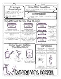 Add to collection(s) add to saved. Scientific Method And Experiment Design Biology Doodle Diagram Tpt