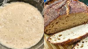 I'm on day 6, and have big plans for my baking day! The Friendship Bread Project Can Baking Promote Unity In A Divided World The Salt Npr