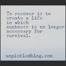 Pin On Sober Lifestyle