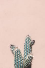 Cactus framed design resources · high quality aesthetic backgrounds and wallpapers, vector illustrations, photos, pngs, mockups, templates and art. Desert Printcactus Printcactus Wall Artgiclee Etsy Cactus Art Print Cactus Wall Art Desert Print