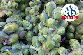 Maybe you would like to learn more about one of these? Jade Cross Brussels Sprouts Premium Garden Seed Hoss Tools