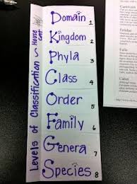 Life In Middle School Animal Classification Foldable Life Science Middle School Teaching Biology High School Science