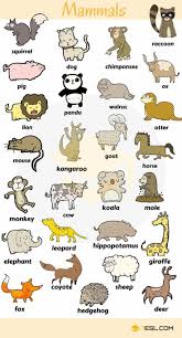 The following list includes bo. Learn Animal Names In English Eslbuzz Learning English Animals Name In English English Vocabulary Learn English Vocabulary