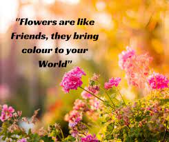 Flowers Are Like Friends They Bring Colour To Your World Flowers Quote Thoughts Peace Quotes Peace Finding Peace