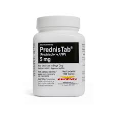 Image result for Prednisolone