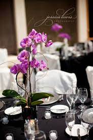 Orchid Plant Orchid Centerpieces Wedding Orchid Centerpieces Wedding Centerpieces