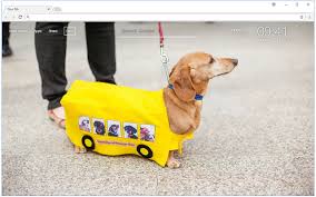 Dachshund Dogs Custom New Tab Freeaddon Com Wallpapers tagged with this tag.