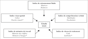 Verbal comprehension (similarities, vocabulary, information andcomprehension), visual spatial (block design and visual puzzles), . Structure De La Wisc V Download Scientific Diagram