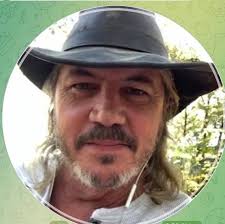 Can maples in pots be transplanted to ground safely?