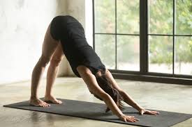 The major benefits of downward dog pose include stretching the shoulders, hamstrings and wrists. How To Do Downward Dog 5 Benefits Of Downward Dog 2021 Masterclass