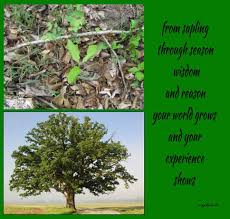 Short Poem About Nature And Growth Short Poems About Nature Short Poems Nature