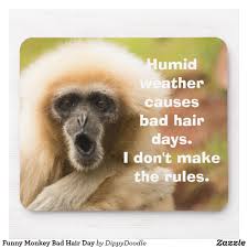 Funny Monkey Bad Hair Day Mouse Pad Zazzle Com Monkeys Funny Animal Captions Bad Hair Day
