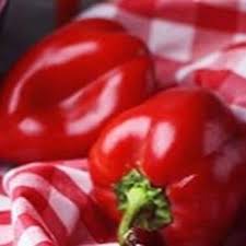 مطعم تاي فرع القناة في القصيم