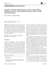 Image result for Acalypha psilostachya