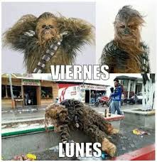 Chewbacca Meme Funny Memes Humor Chewbacca