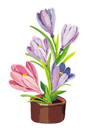 Spring Crocus Pot Png Clipart Gouache Flowers Saffron Flower Watercolor Flowers Paintings