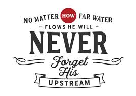 By free picture resizer free. 1 Upstream Designs Graphics